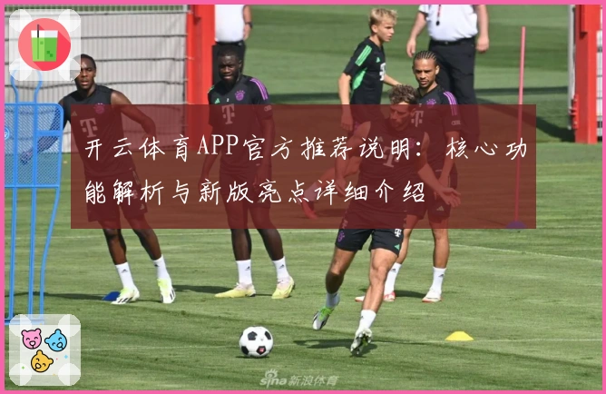 开云体育APP官方推荐说明:核心功能解析与新版亮点详细介绍