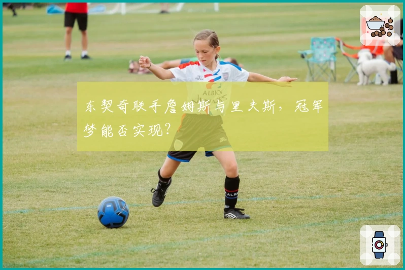 东契奇联手詹姆斯与里夫斯,冠军梦能否实现?