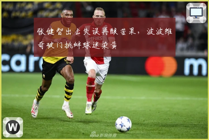 张健智出击失误再酿苦果，波波维奇破门挑衅球迷染黄